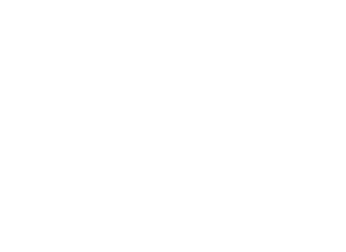 Logo GNS+